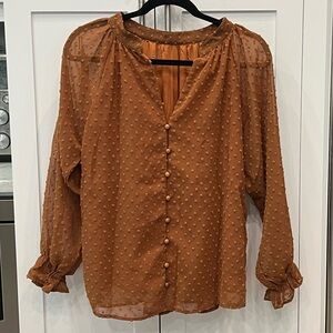 Brown Swiss Dot V Neck Button Down Blouse. NWOT